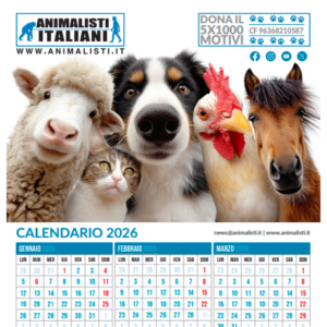 calendario-2026