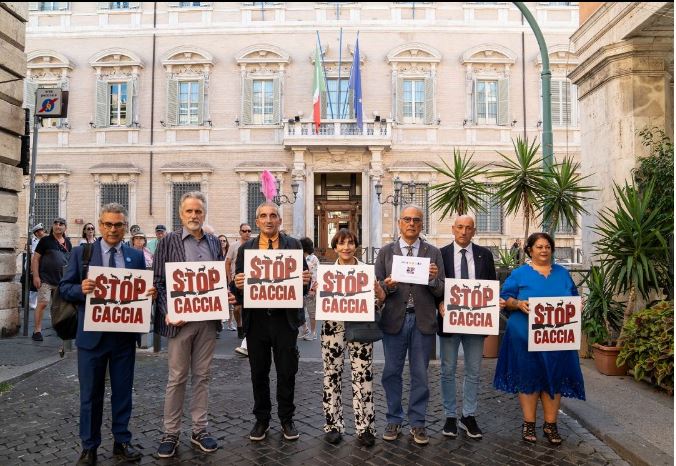 5555Cattura 5555Cattura