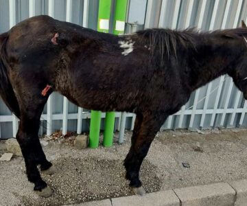 559346484_1242688234559044_1077281245897193005_n 559346484_1242688234559044_1077281245897193005_n