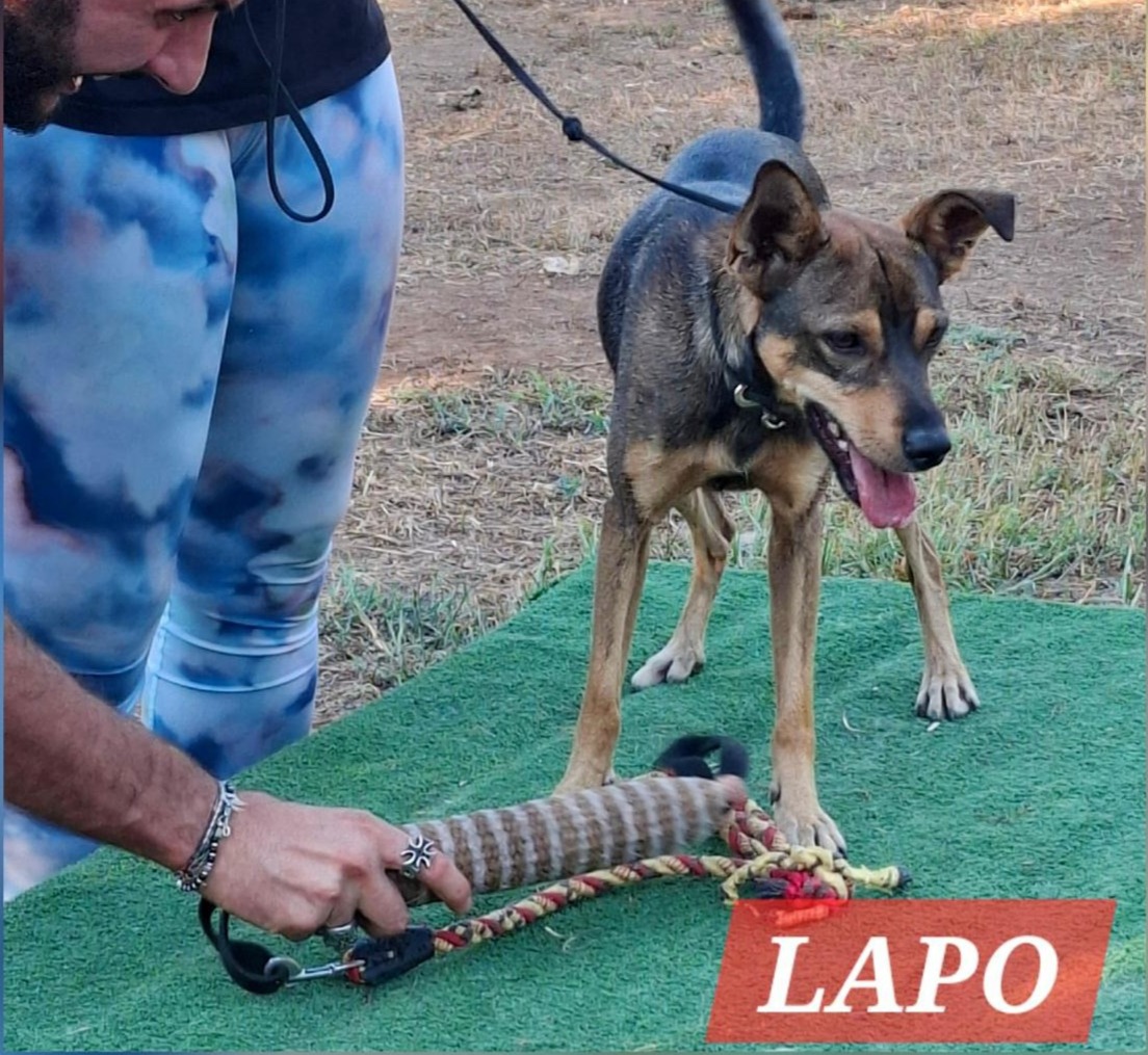 Lapo (Coco) 3