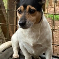 WhatsApp Image 2025-10-16 at 12.01.26 (3) WhatsApp Image 2025-10-16 at 12.01.26 (3)