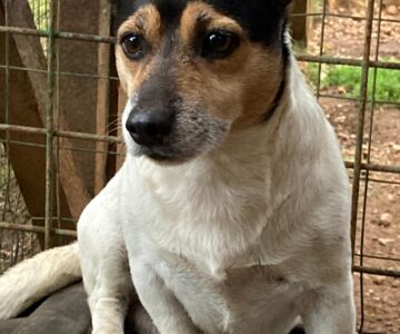 WhatsApp Image 2025-10-16 at 12.01.26 (3) WhatsApp Image 2025-10-16 at 12.01.26 (3)