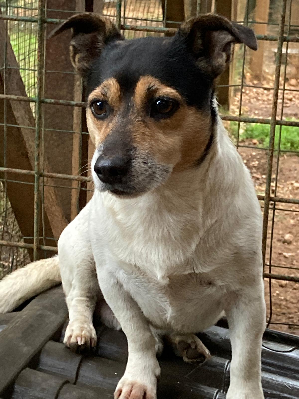 WhatsApp Image 2025-10-16 at 12.01.26 (3)