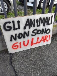 600152593_1592921288373966_3606876991360198395_n