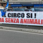 603021742_1592921381707290_144292449753142925_n