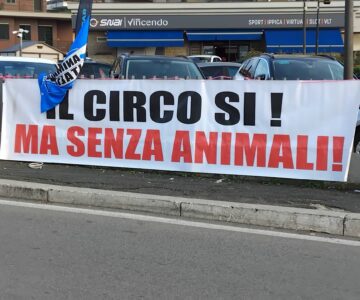 603021742_1592921381707290_144292449753142925_n