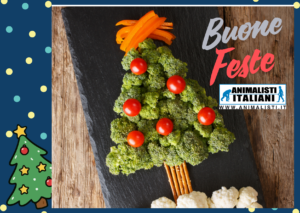 Blue and Yellow Polka Dots Photography Gift Certificate