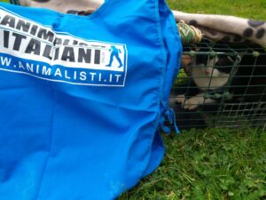 WhatsApp-Image-2022-02-14-at-11.43.45-1536x1153