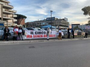 WhatsApp Image 2025-12-21 at 15.42.53