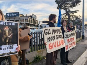 WhatsApp Image 2025-12-21 at 16.02.32