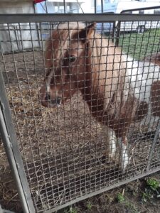 WhatsApp Image 2025-12-22 at 15.42.46 (1)