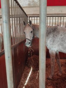 WhatsApp Image 2025-12-22 at 15.42.46