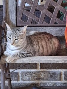 WhatsApp Image 2025-12-22 at 16.39.43