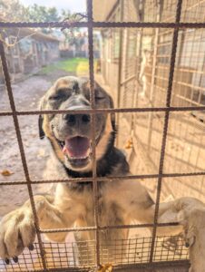 WhatsApp Image 2025-12-22 at 16.42.37 (1)