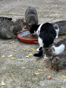 WhatsApp Image 2025-12-22 at 16.42.44