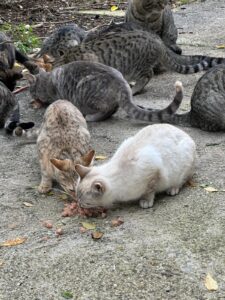 WhatsApp Image 2025-12-22 at 16.42.46