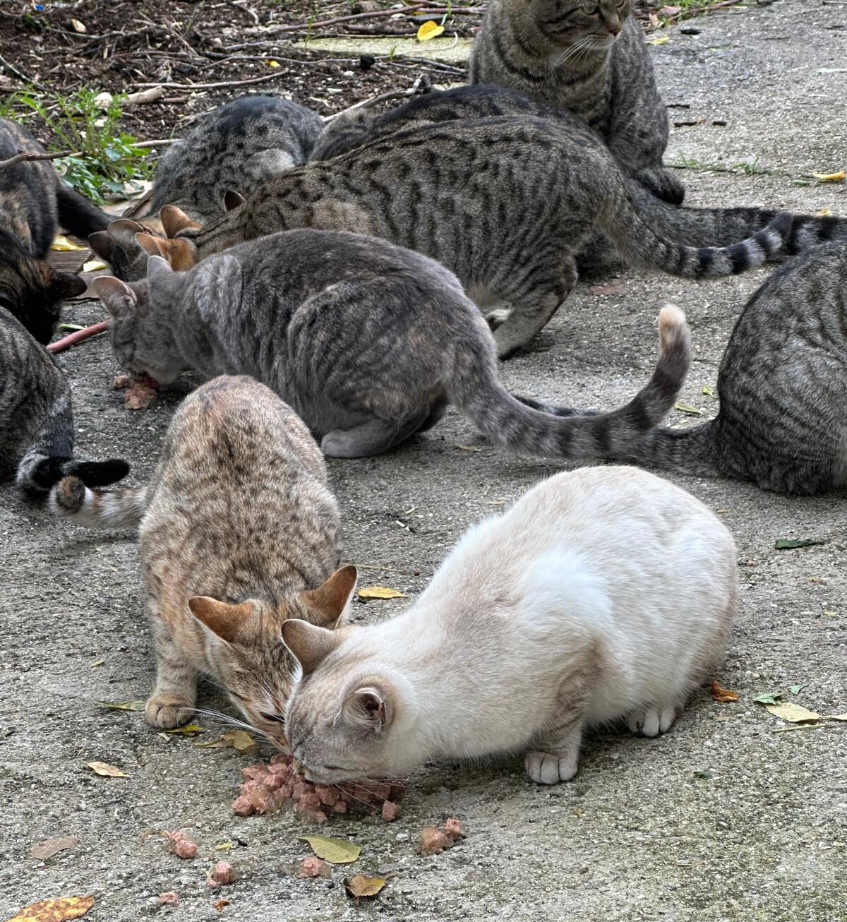 WhatsApp Image 2025-12-22 at 16.42.46