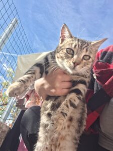 WhatsApp Image 2025-12-22 at 16.42.48 (1)