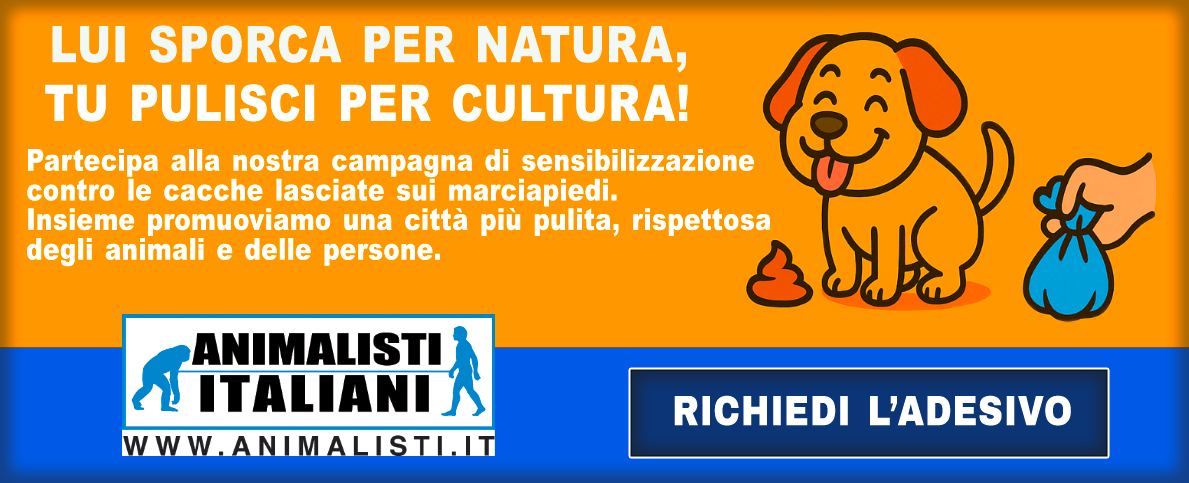 cover facebook definitivo