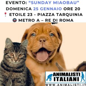 617510216_1325449076282959_8176250668928196163_n