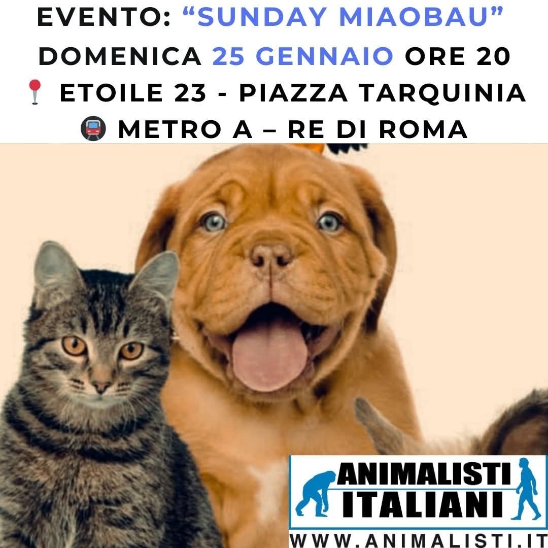 617510216_1325449076282959_8176250668928196163_n