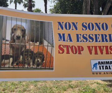 Animalisti-Italiani_1-2