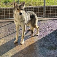 WhatsApp Image 2026-02-11 at 17.55.23