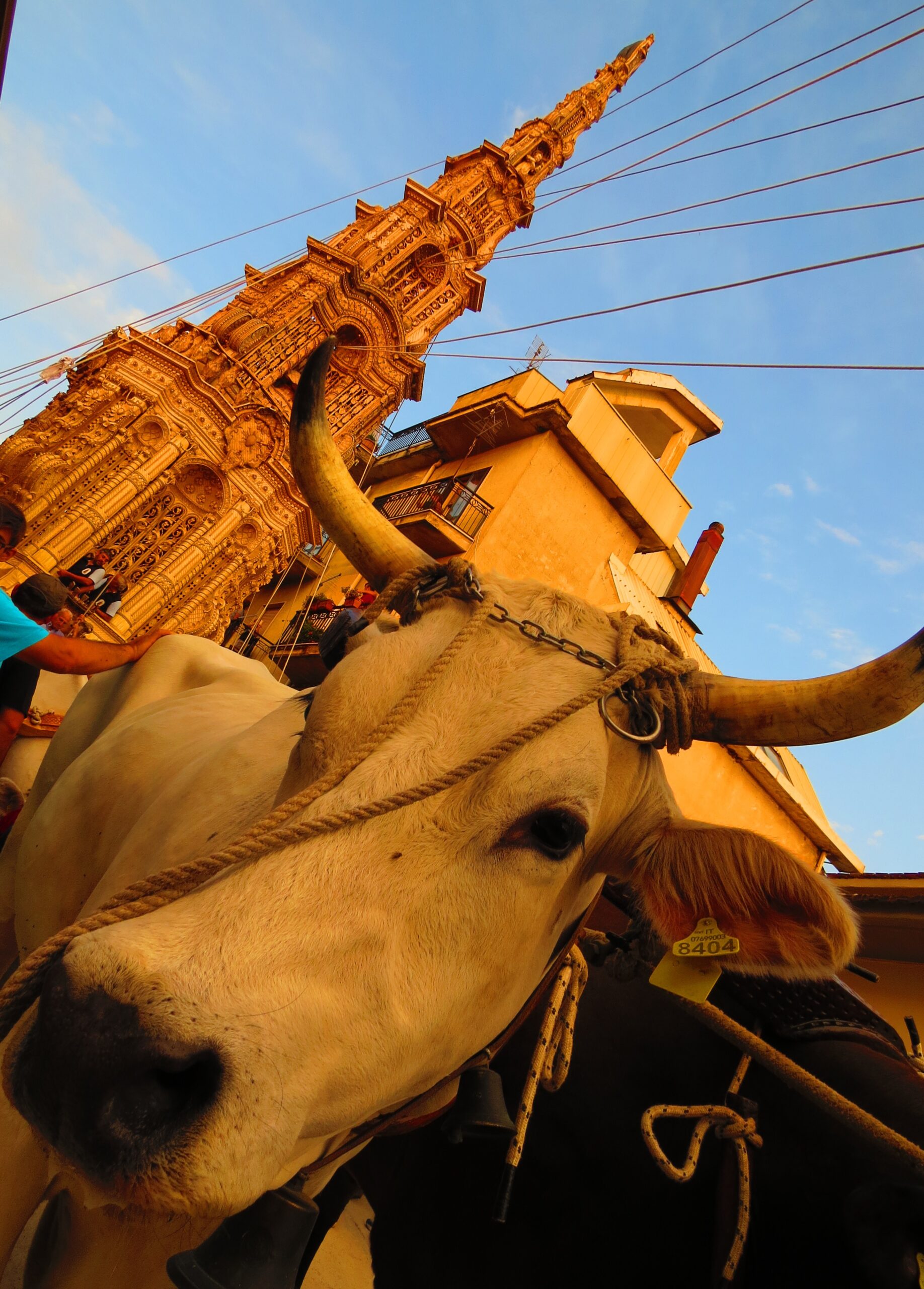 Tirata_del_Carro_a_Mirabella_Eclano