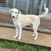 WhatsApp Image 2026-03-28 at 18.06.48 WhatsApp Image 2026-03-28 at 18.06.48