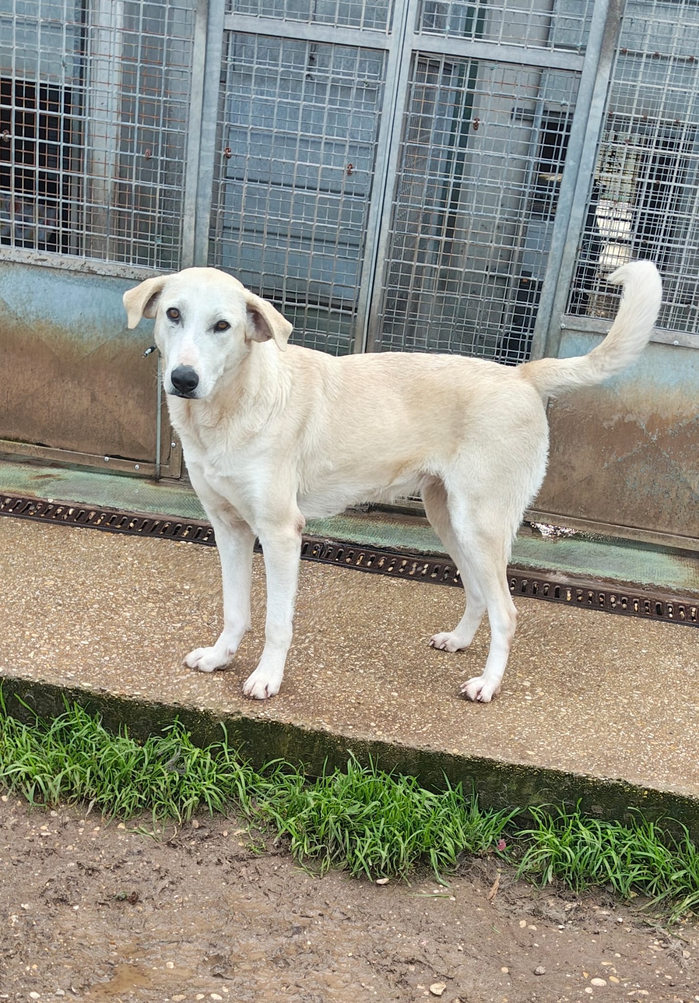 WhatsApp Image 2026-03-28 at 18.06.48