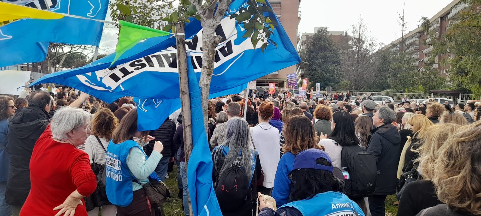 WhatsApp Image 2026-04-03 at 16.05.10