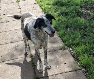 WhatsApp Image 2026-04-21 at 15.55.34