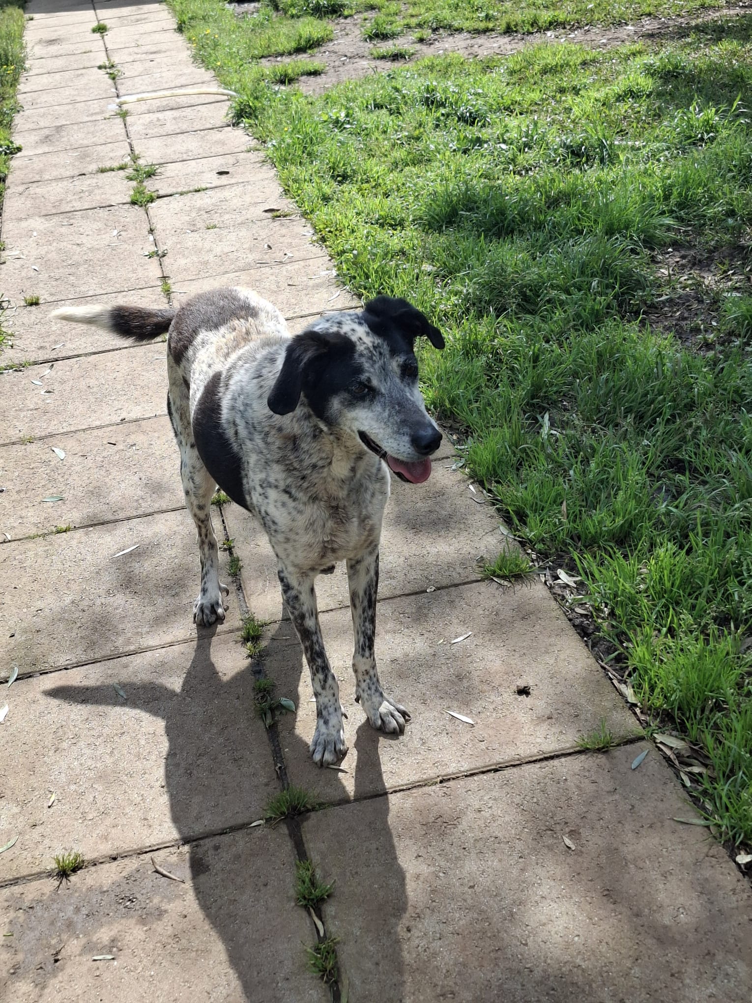 WhatsApp Image 2026-04-21 at 15.55.34