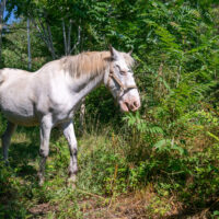 DSC_1260 DSC_1260