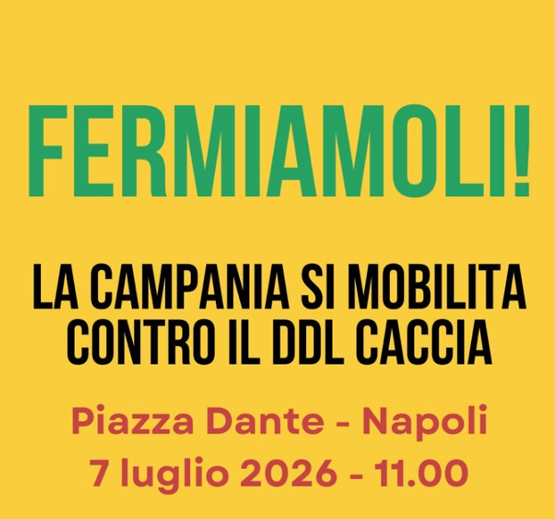 Napoli Piazza Dante 7 luglio